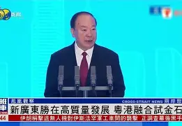关于DRX完胜BDS，Bwipo高光表现的信息