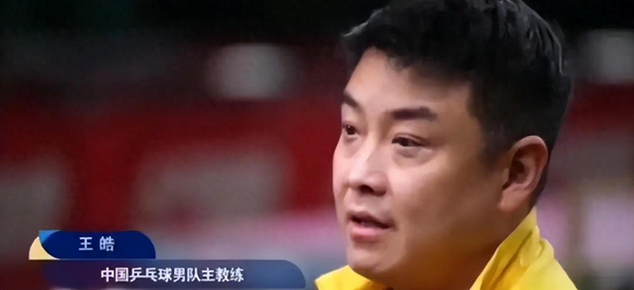 法国乒乓球队爆冷德国乒乓球队，王皓绝境逆转的简单介绍