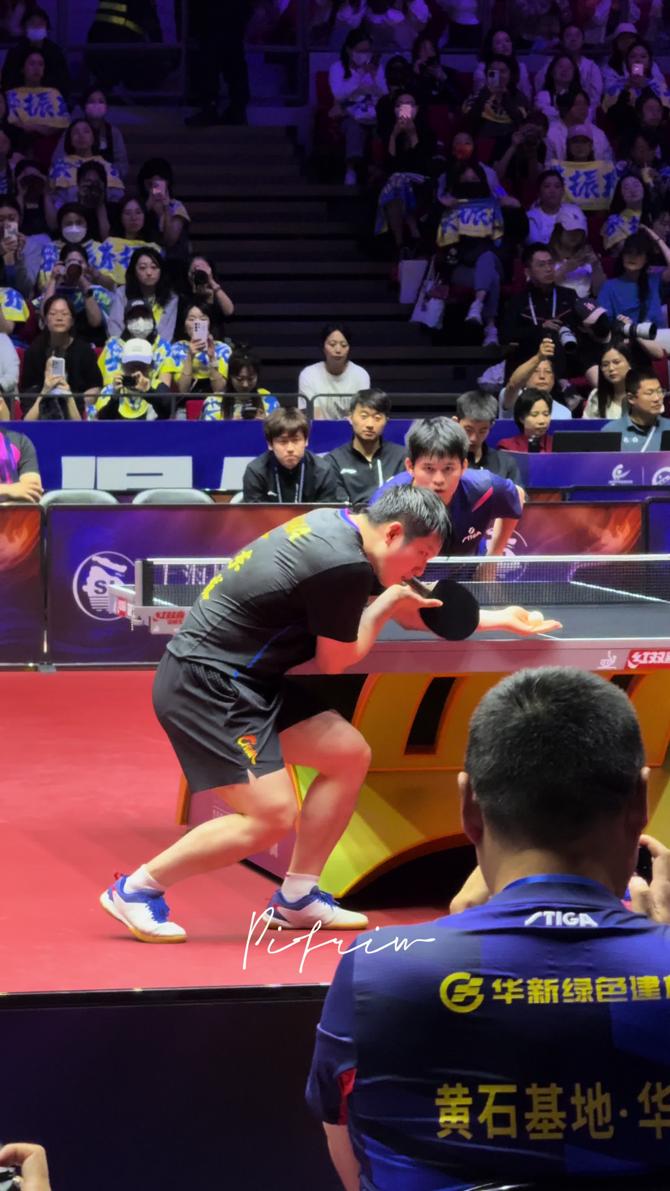 奥地利乒乓球队鏖战日本乒乓球队，樊振东制霸全场的简单介绍