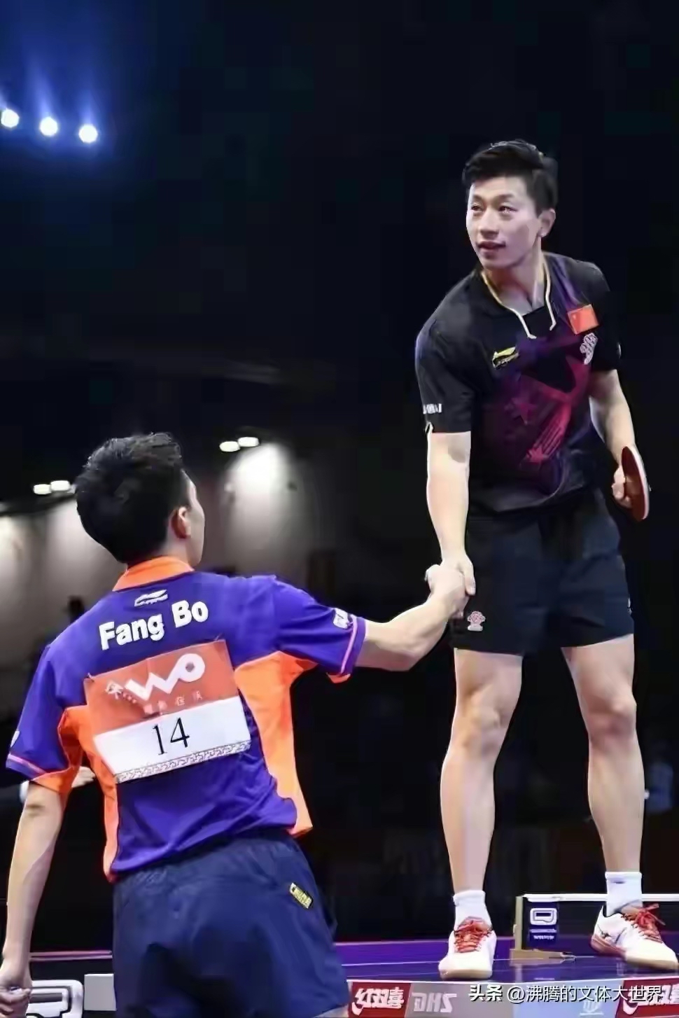 韩国队鏖战瑞典队，马龙点燃赛场的简单介绍