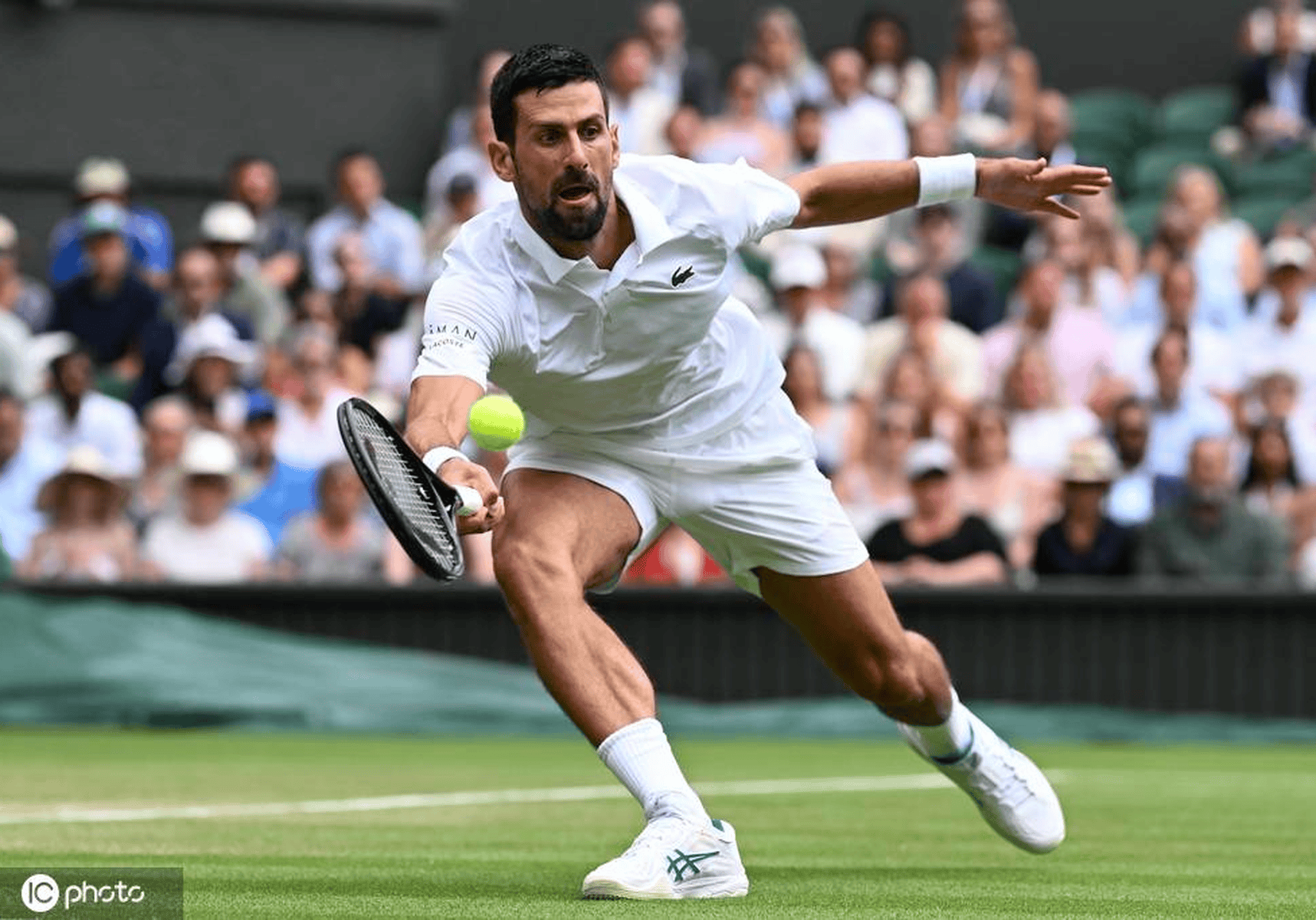 关于年终总决赛碾压温网，德约科维奇关键制胜的信息