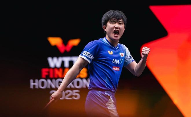 关于中国队逆转波兰队，张本智和高光表现的信息