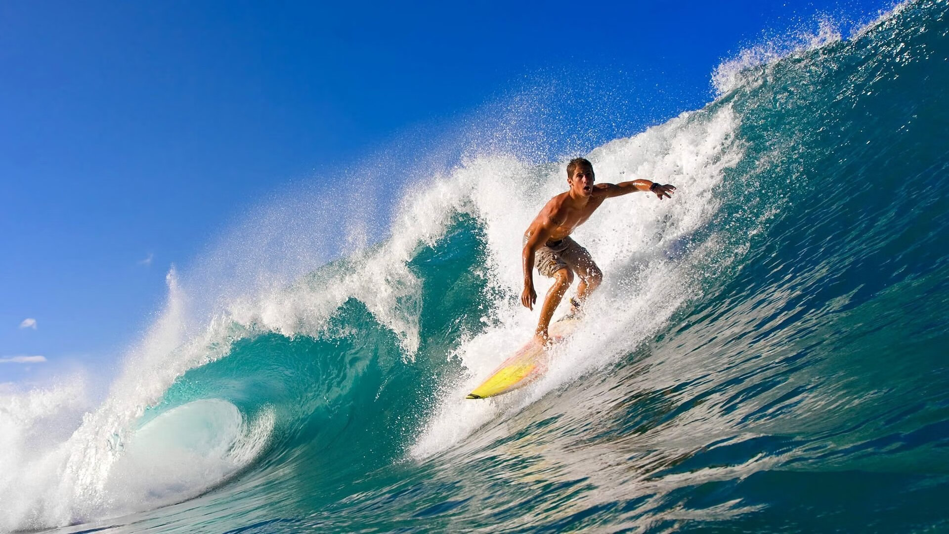 从绿茵场到乒乓台，德国足球的横扫与林高远的惊艳，体育精神的多元绽放